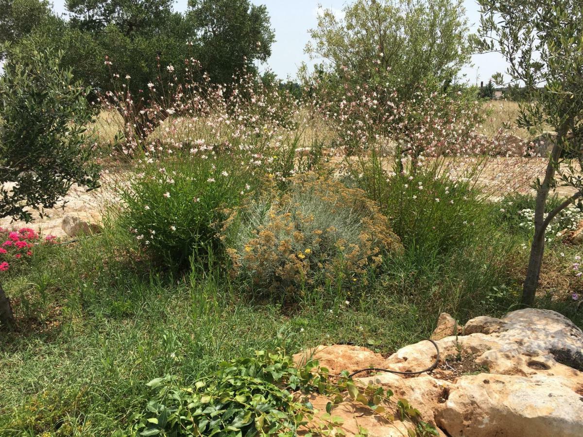 Trulli Relais Casa Gemma Villa Martina Franca Eksteriør bilde
